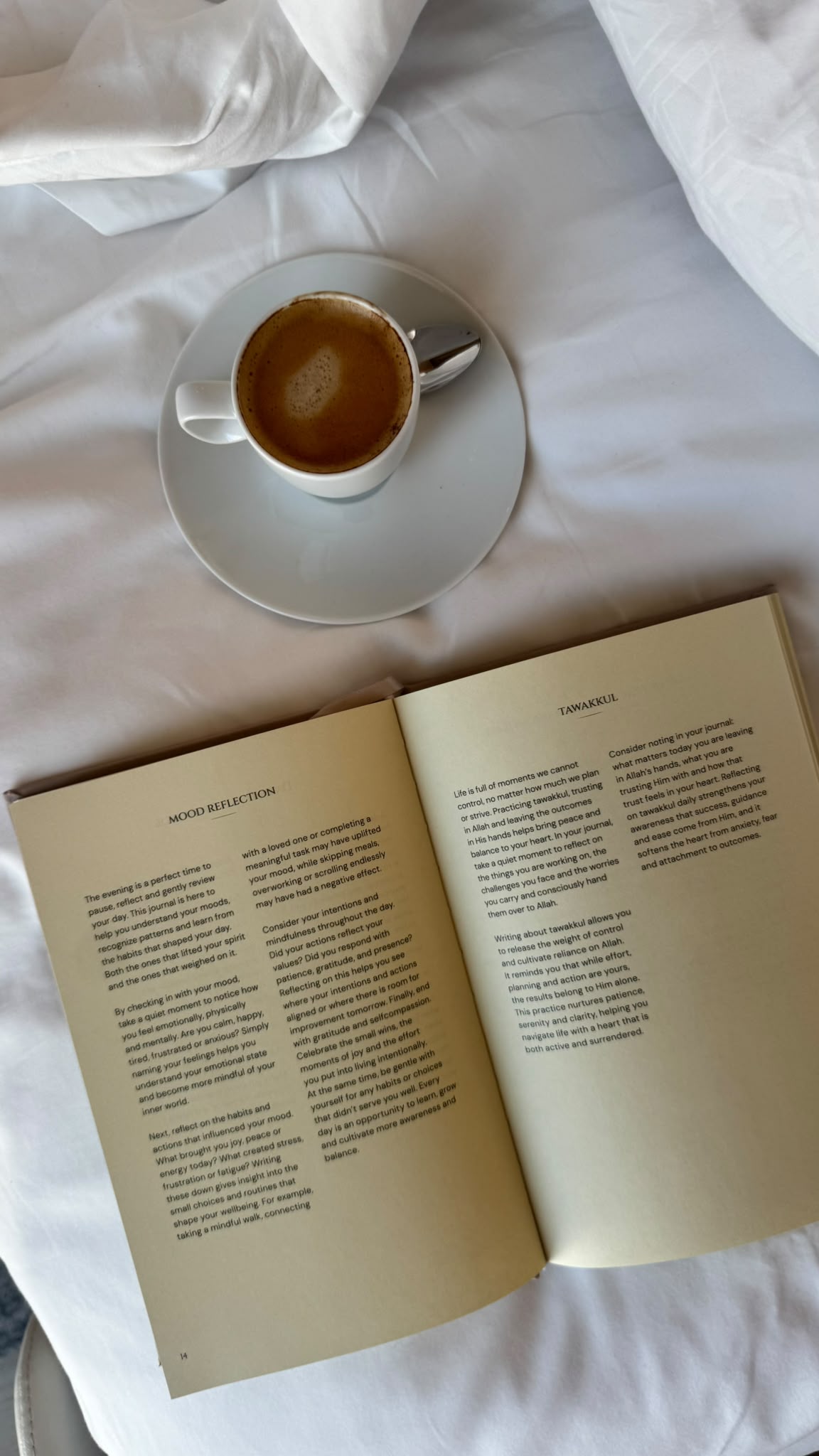 NOUR Journal — Cocoa Brown